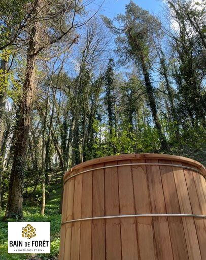 Hot tub and jacuzzi, wood fired hot tub, japanese wood fired hot tub, wood fired jacuzzi, jacuzzi stainless steel, jacuzzi spa, acuzzi spa stainless steel