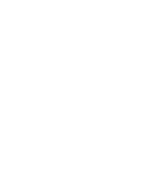 Altipure logo